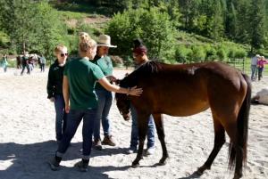 equine therapy students and a horse